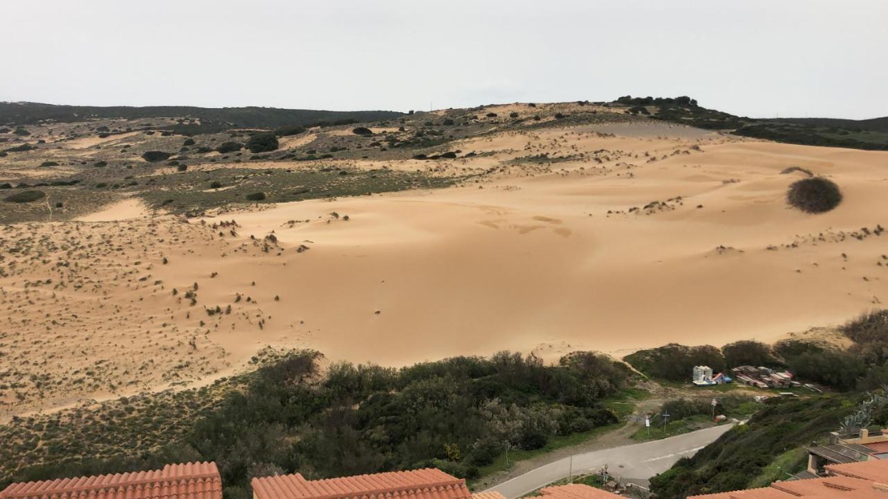 La Dell Artista Con Vista Mare E Dune - Iun Q7440